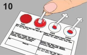 4er Blutgruppen Schnelltest - 4x AB0+Rhesusfaktor