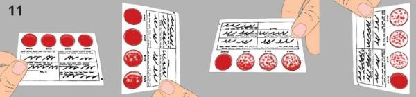 4er Blutgruppen Schnelltest - 4x AB0+Rhesusfaktor