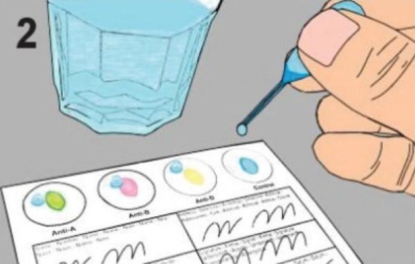 5er Blutgruppe Schnelltest - 5x AB0 + Rhesusfaktor